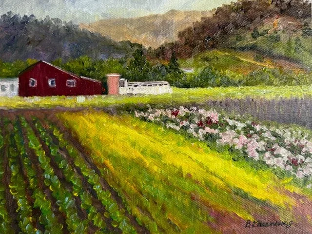 Farm Fields - Half Moon Bay