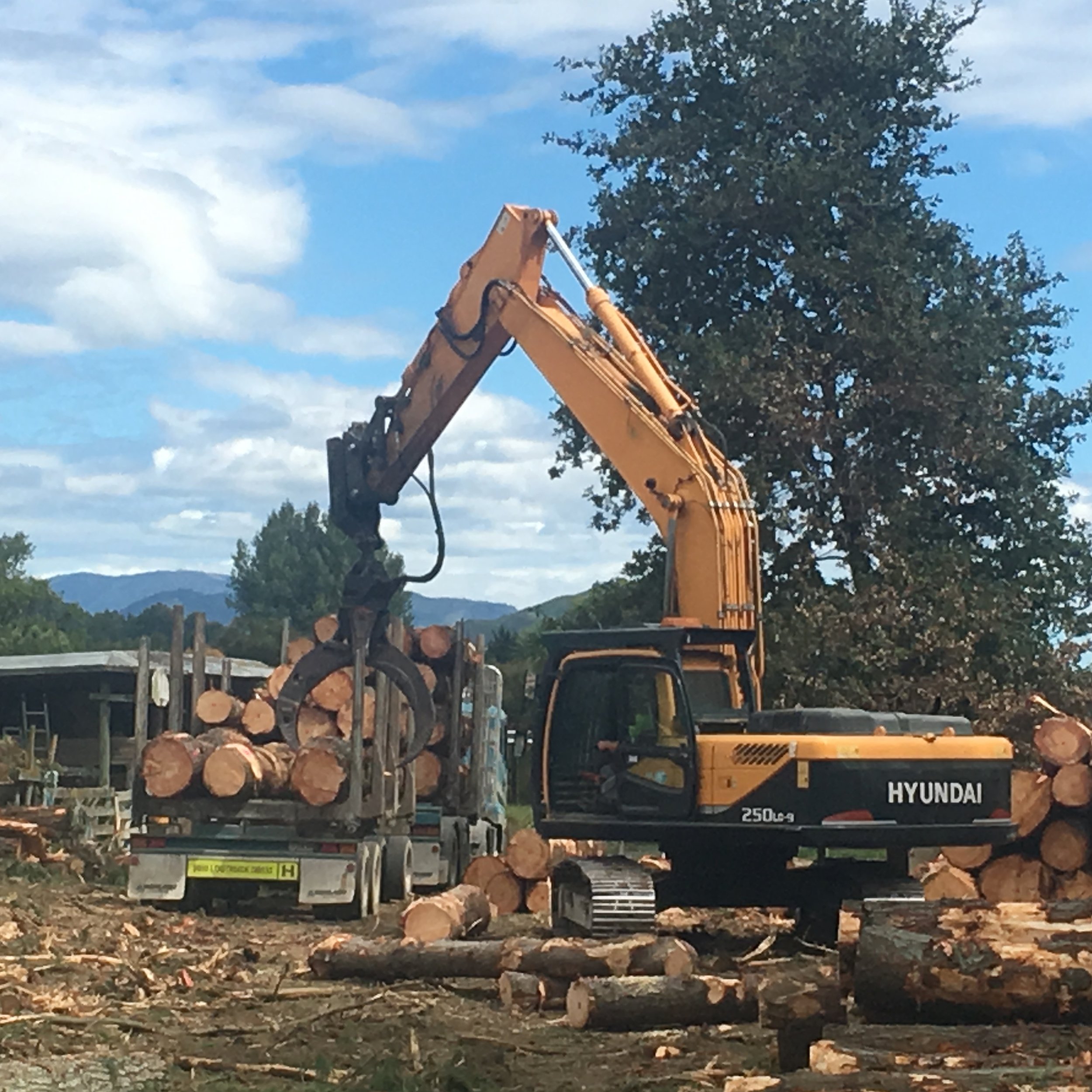 IMG_0723 Cropped.jpg