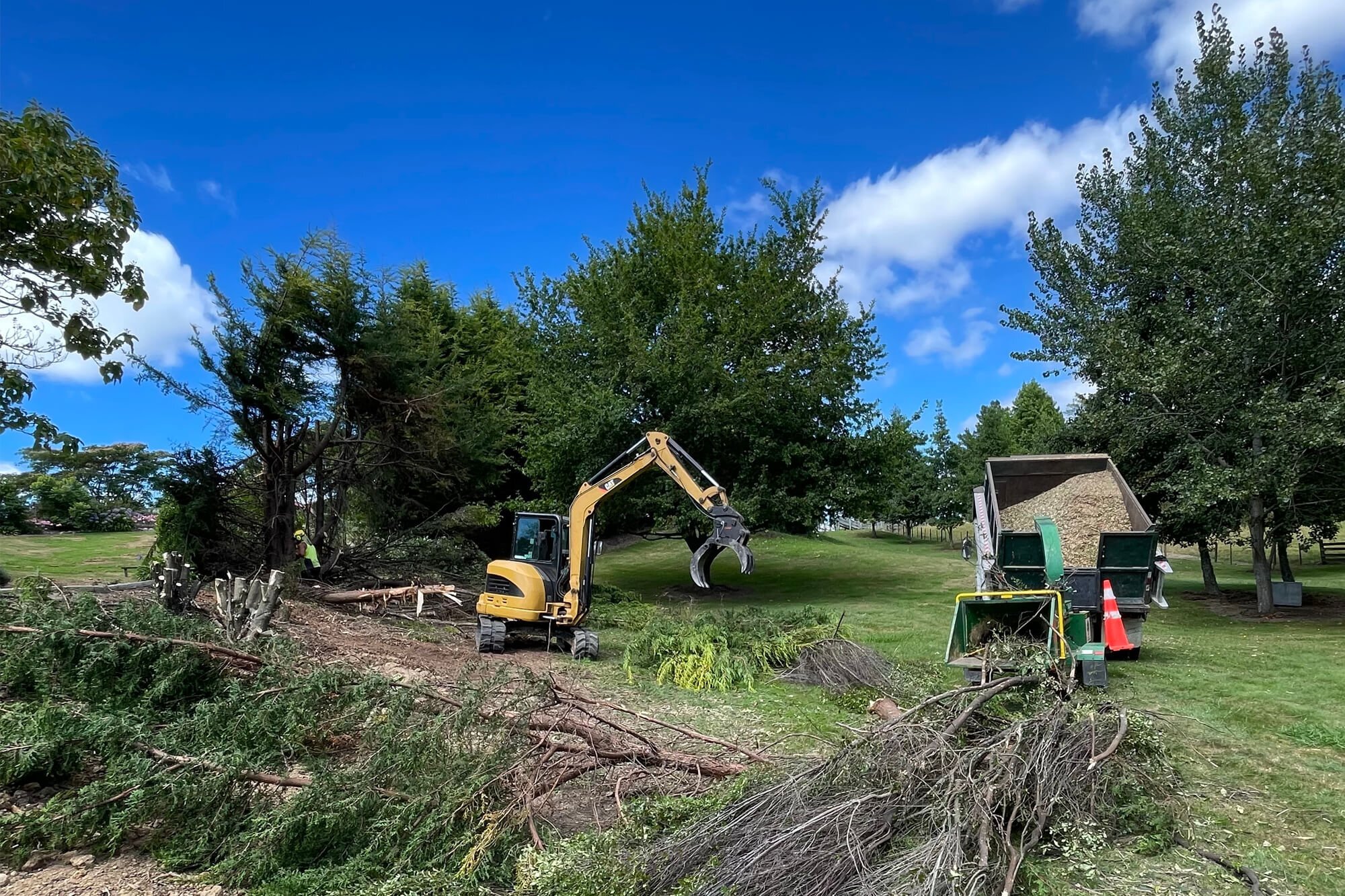 tree service binghamton ny