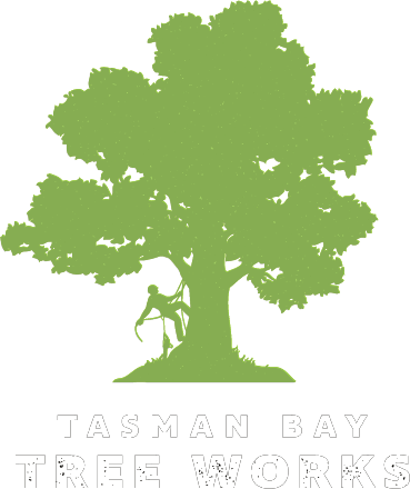 Tasman Bay Tree Works