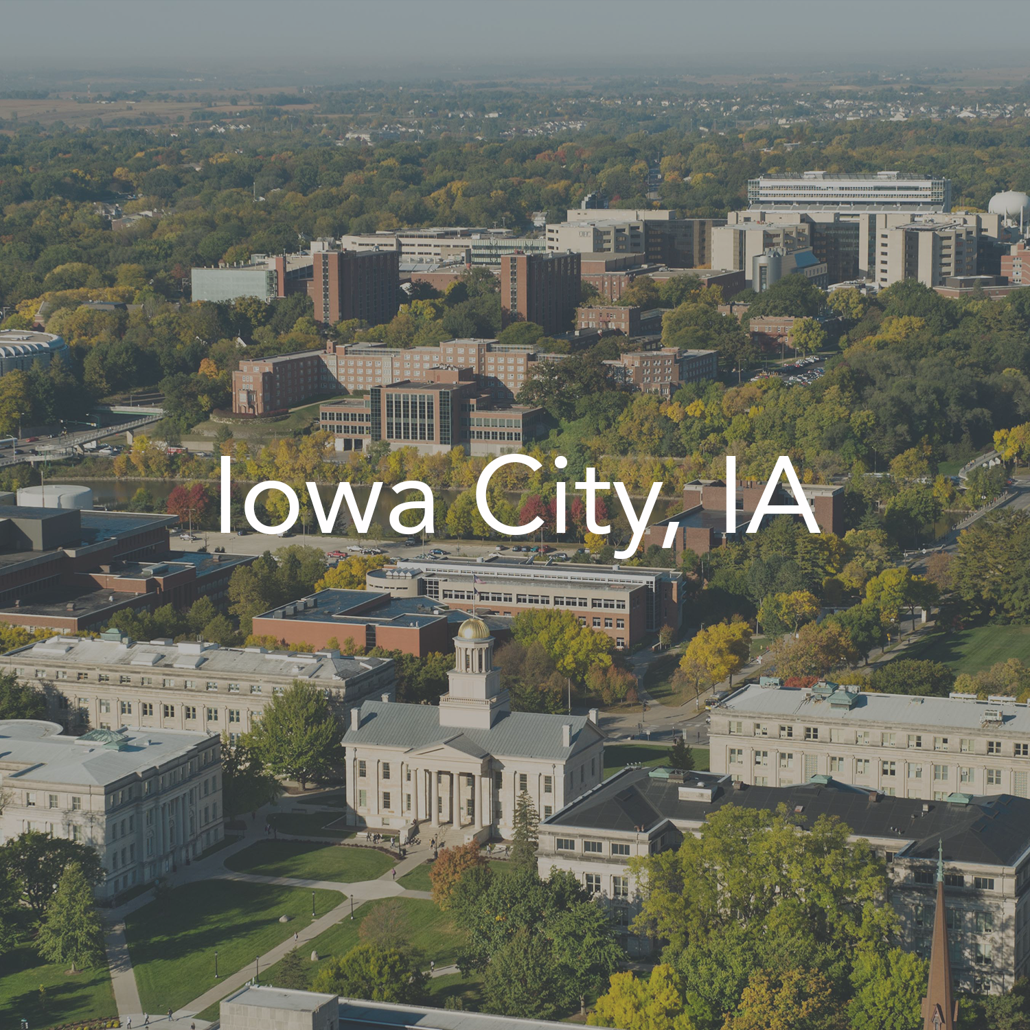 IowaCityWebsite.png