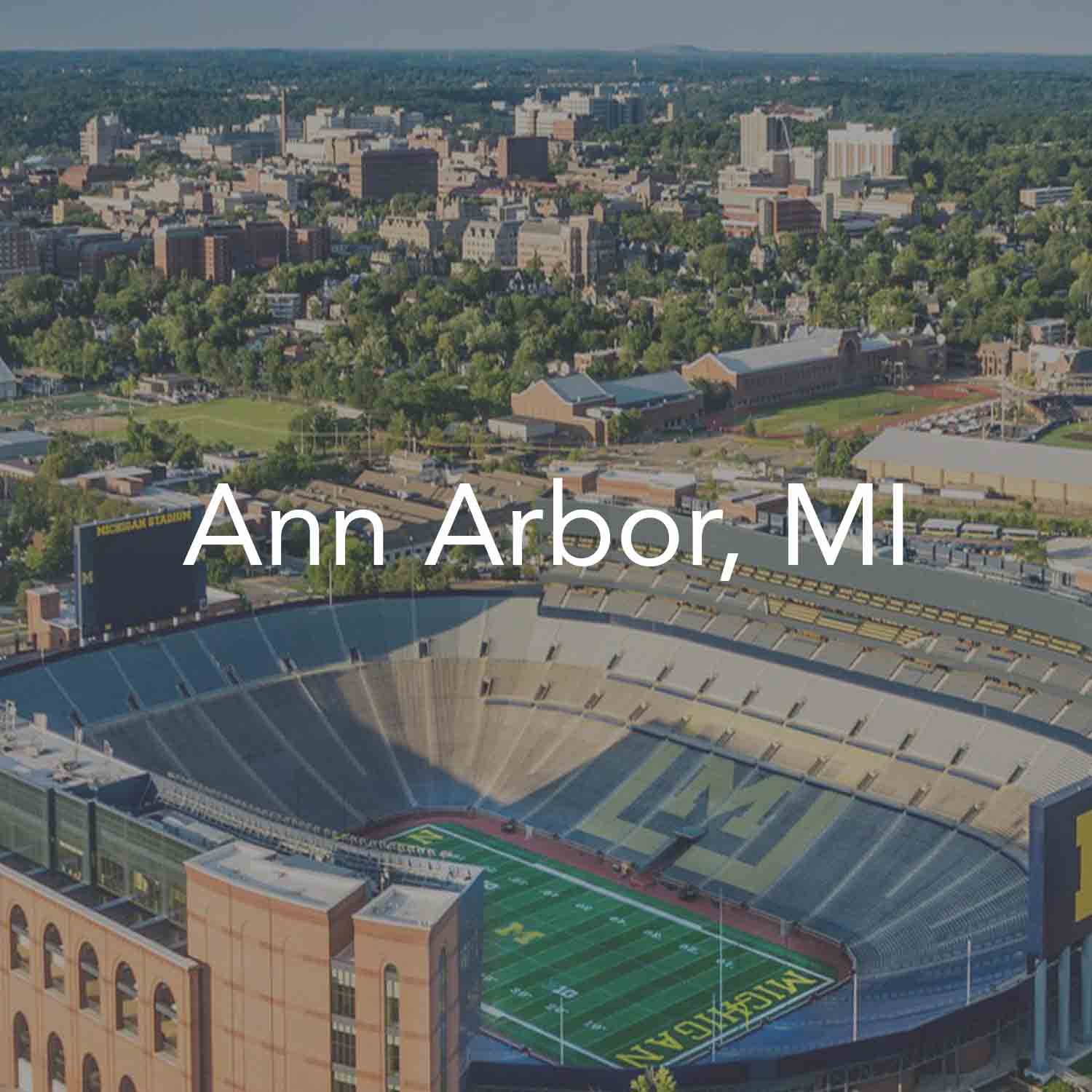 AnnArborWebsite.jpg