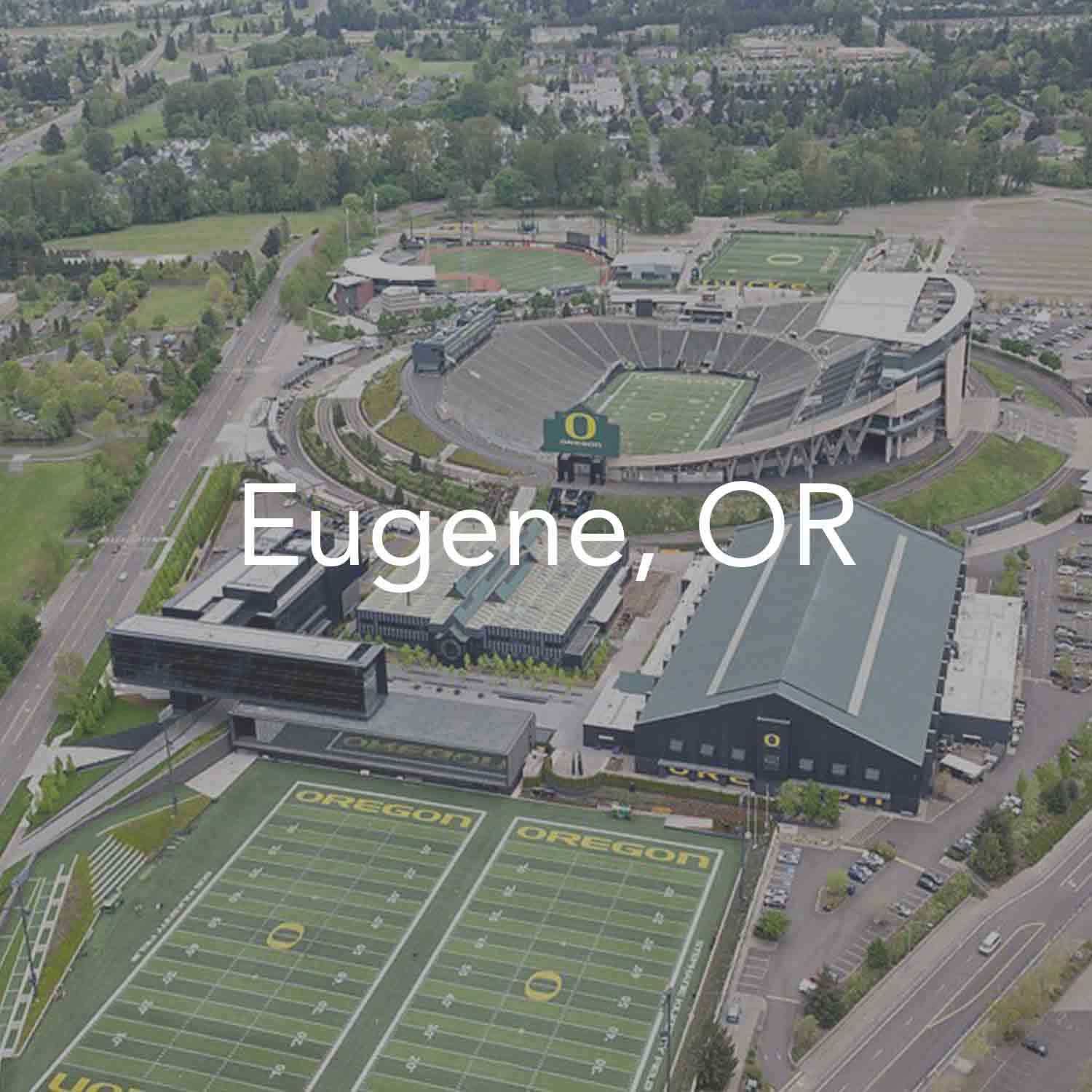 EugeneWebsite.jpg