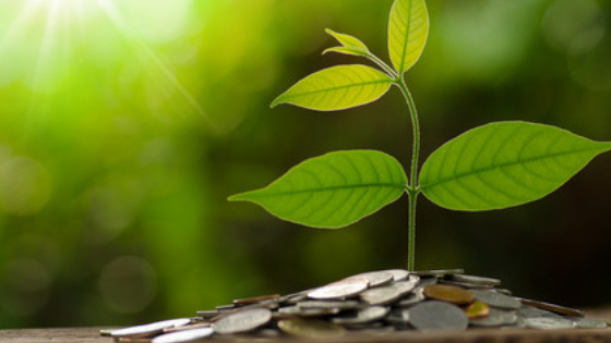 What is Invoice Factoring and how can it Help Your Business Grow?