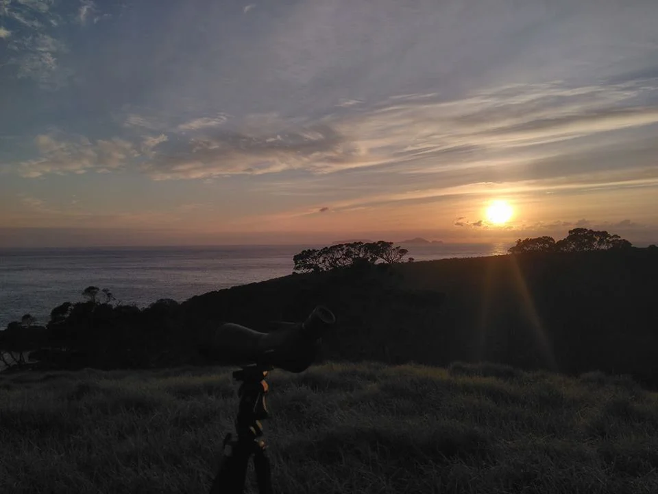 Tarawhata at sunrise