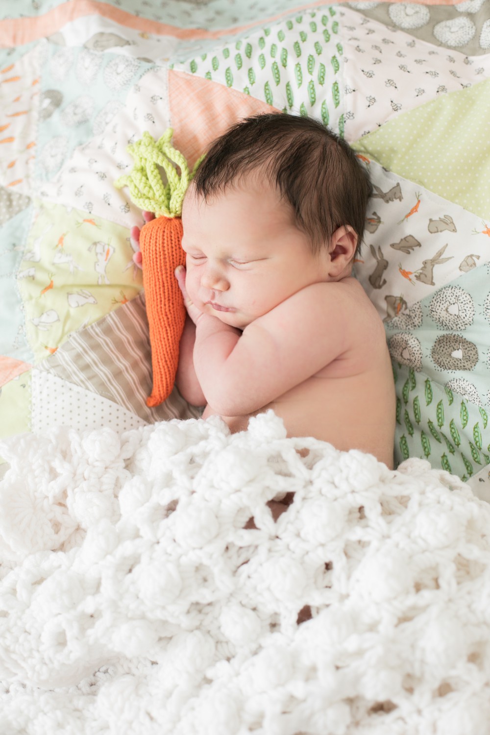 MarylandNewbornPhotographerCrochetCarrotBabyToyWendyHickokPhotography.jpg