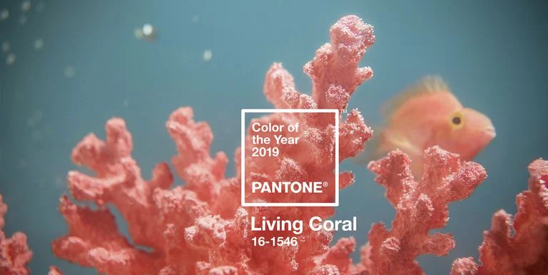 Always Creating Studio Weddings & Events - Sterling, Virginia // Pantone Color of the Year: Living Coral | Wedding Design | Wedding Color | Color Trend