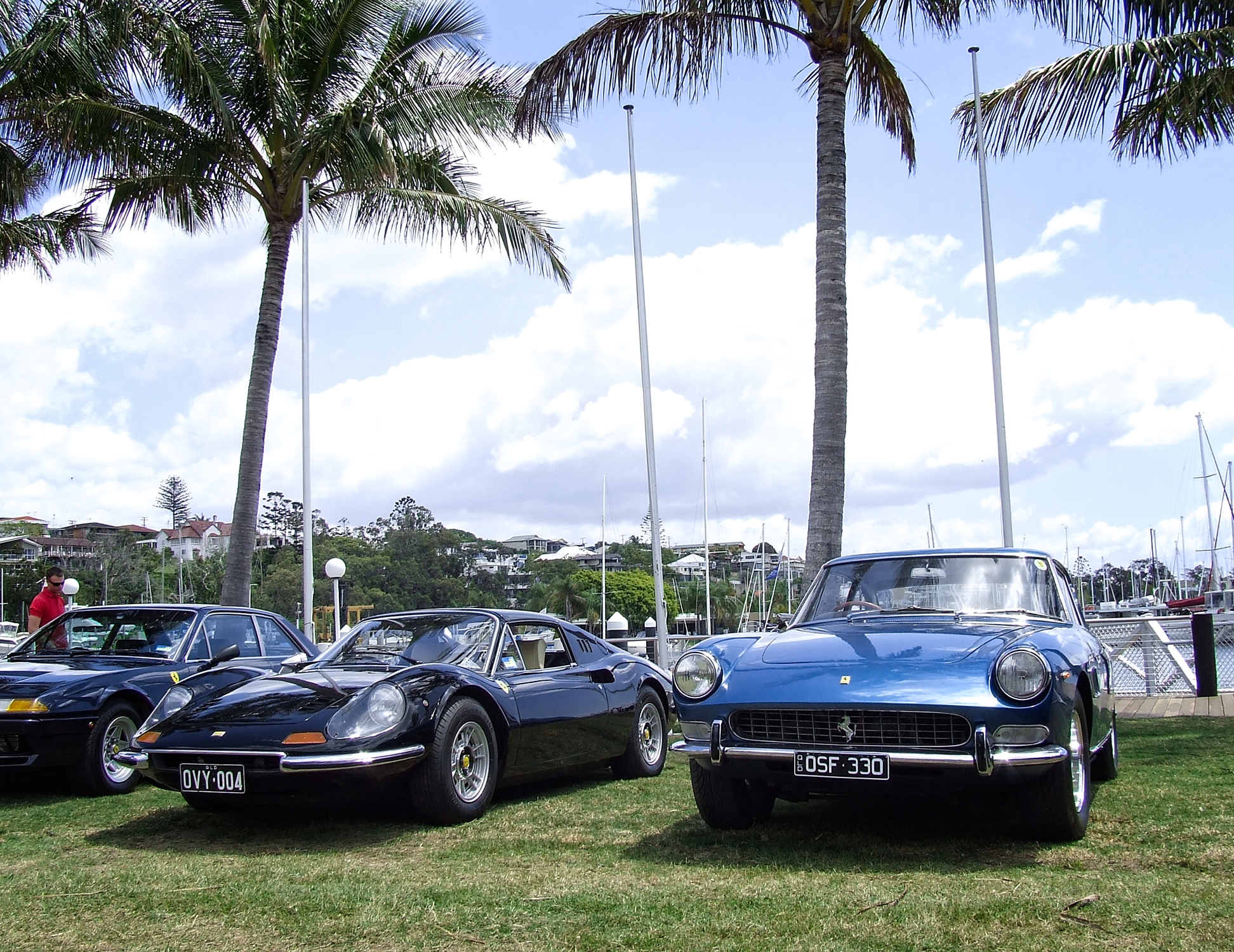 DSCF5408.jpg