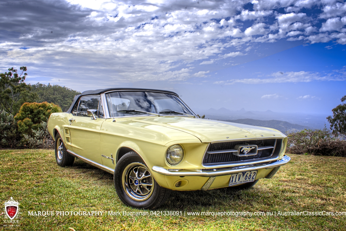 DSC_9635_6_7On1 copy.jpg