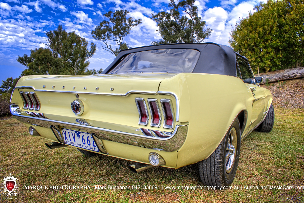 DSC_9656_7_8On1 copy.jpg