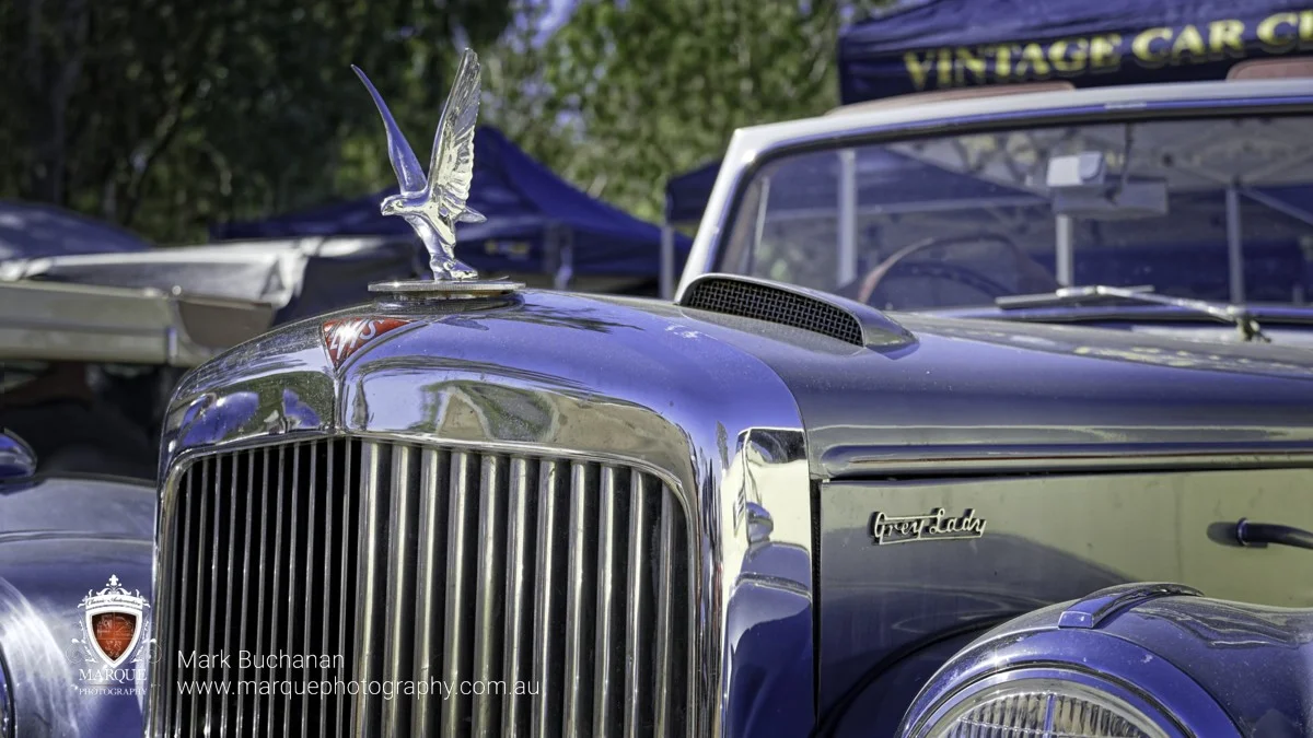 _DSC5284-marquephotog.jpg