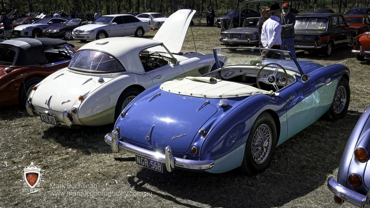 _DSC5347-marquephotog.jpg
