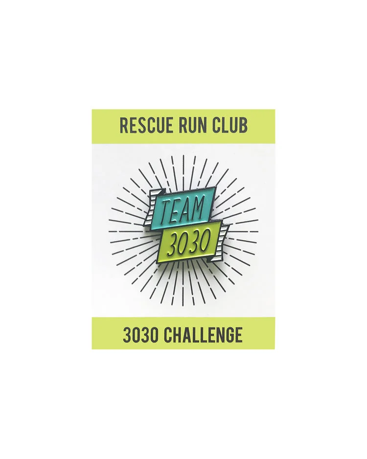 PIN_TEAM3030.jpg