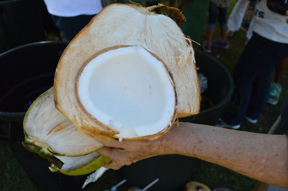  Inch thick fresh coconut meat - can't get no fresha dan dis! 