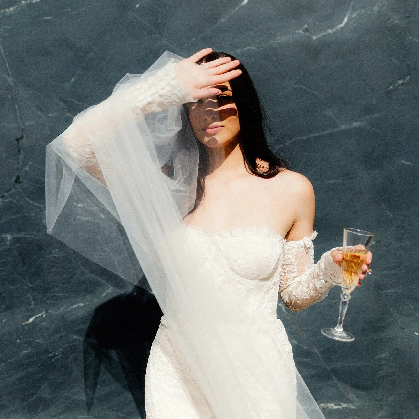 No words to describe the beauty of Melina in the Paris veil.
#fortheromantics 
photo: @tomaszwagnerco 
Shop the entire luxury wedding veil collection: 
www.janerhyan.com