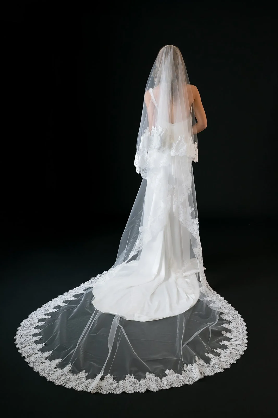 NewLaceVeilCathedralBlusherBack.jpg
