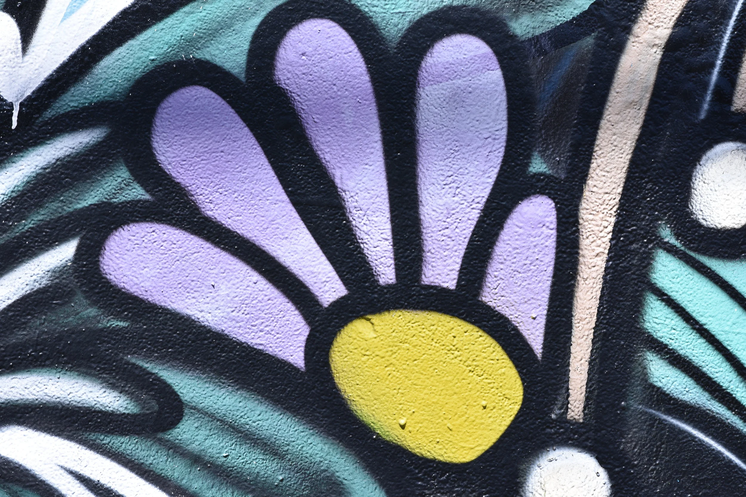 DSC_0875.JPG