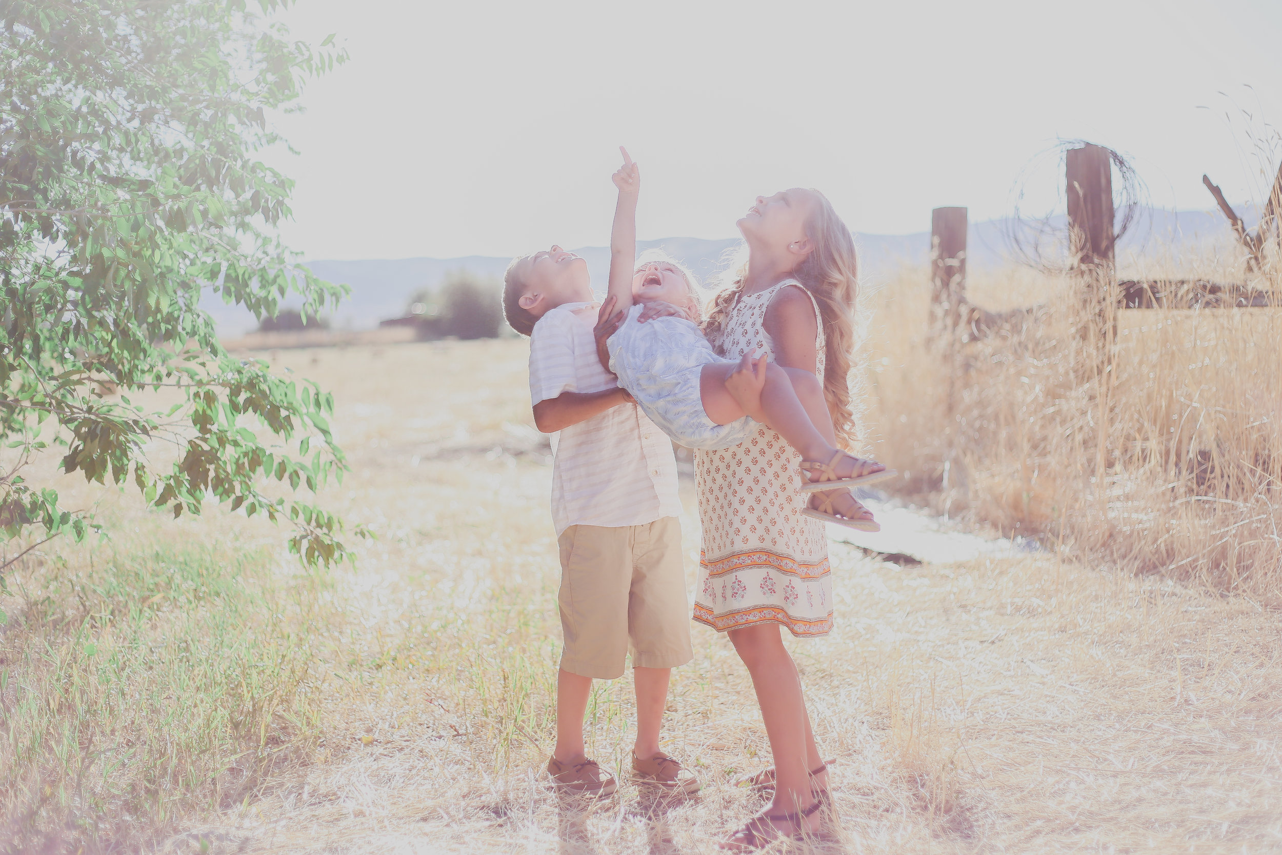 4887Mint (1 of 1).jpg