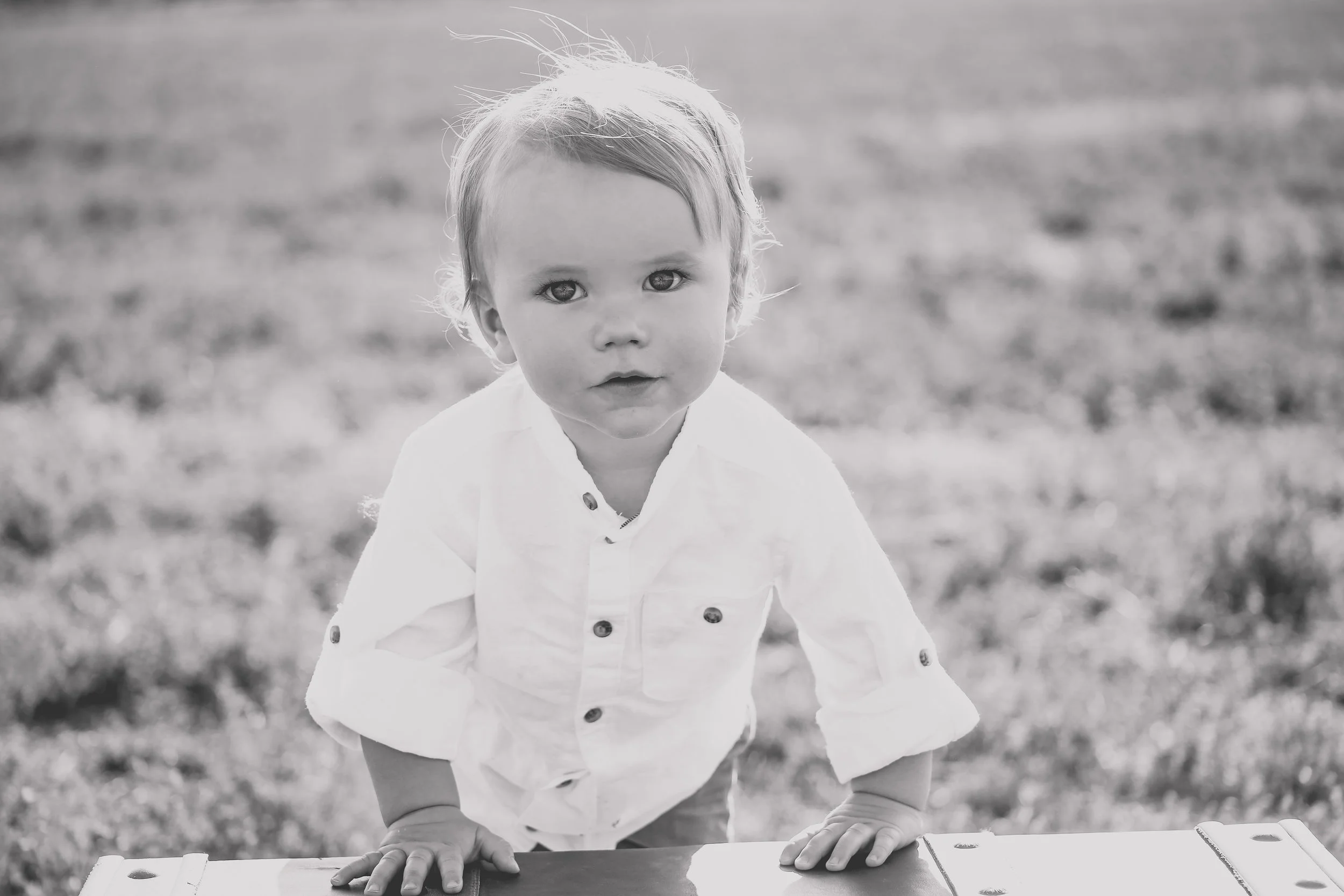 8400Matte (1 of 1).jpg