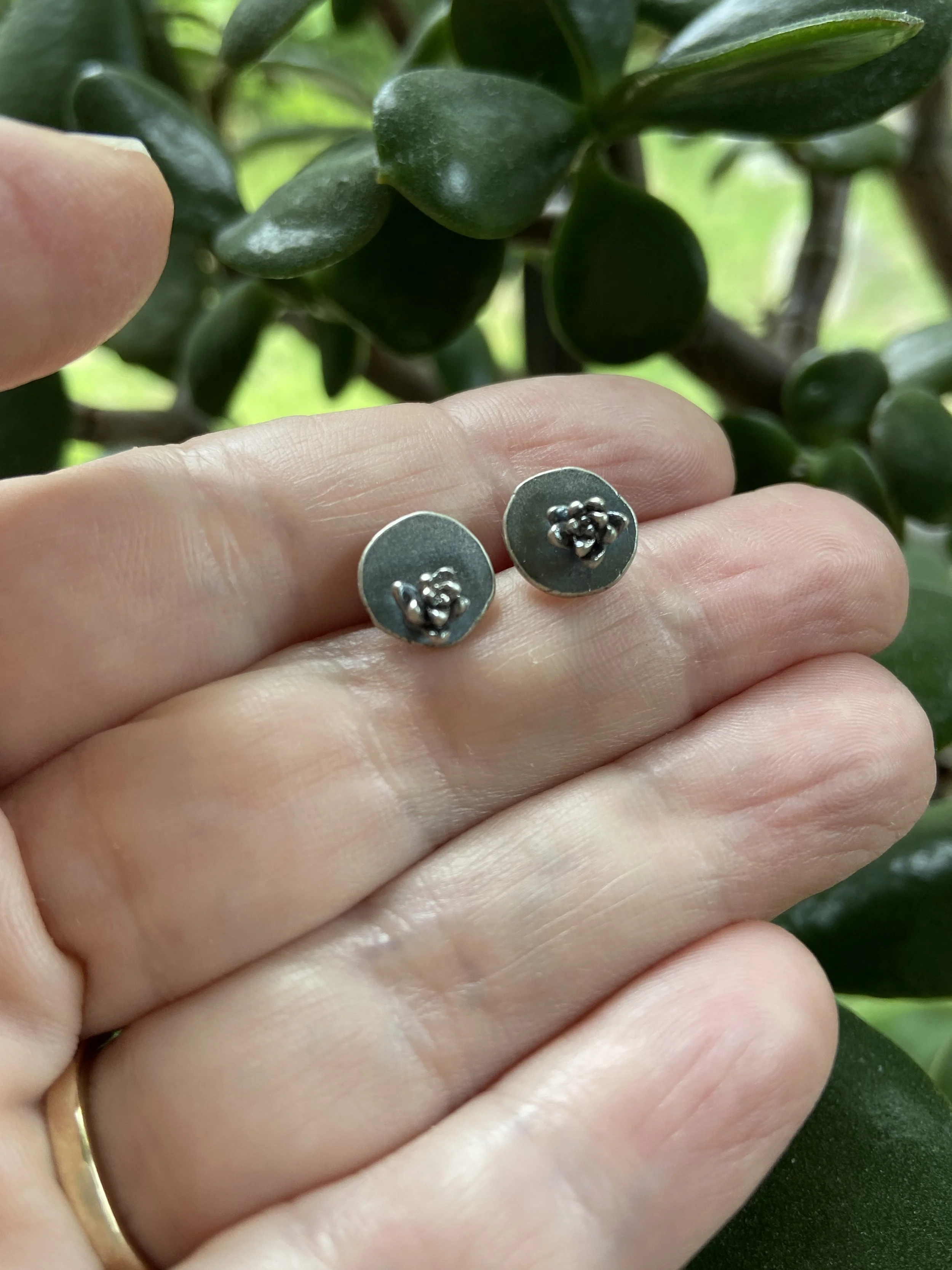 Tiny Cast Silver Succulent Post Earrings by My Brown Wren
