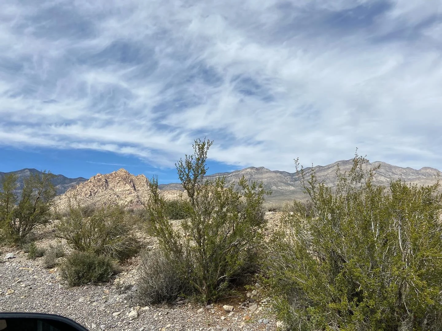 Driving through Red Rocks Canyon National Park was amazing. I love the Pacific Northwest, but the desert has its own unique beauty. These were all shot from the passenger window while we were moving, with my iPhone 11.

#lasvegasadventures #desertbea