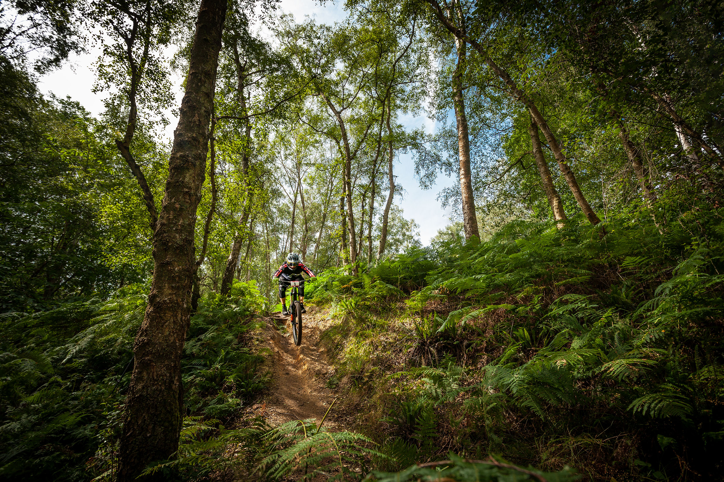 Pippingford_SouthernEnduro_Aug19_188.jpg