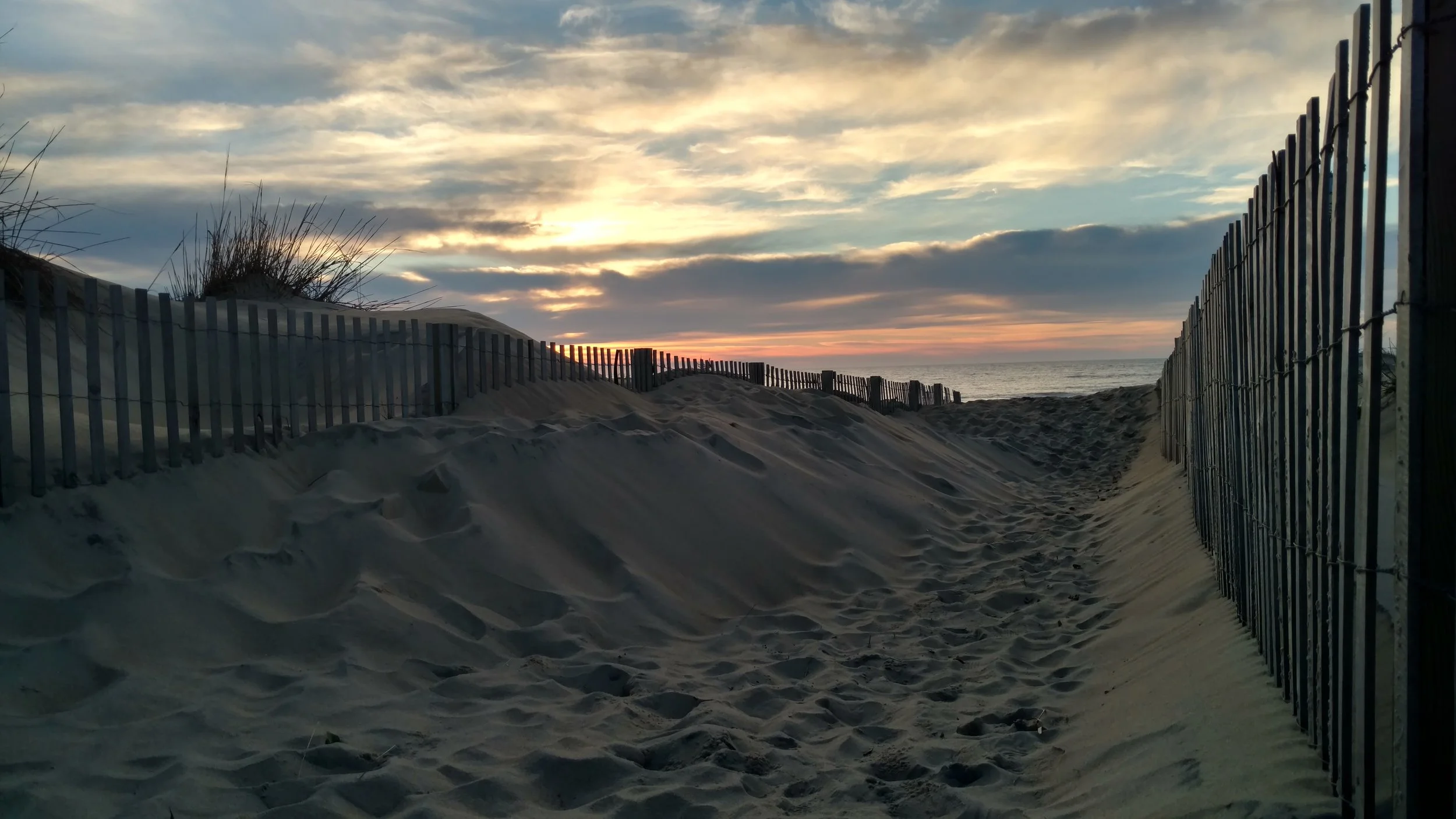 IMG_20160201_072356140_HDR.jpg