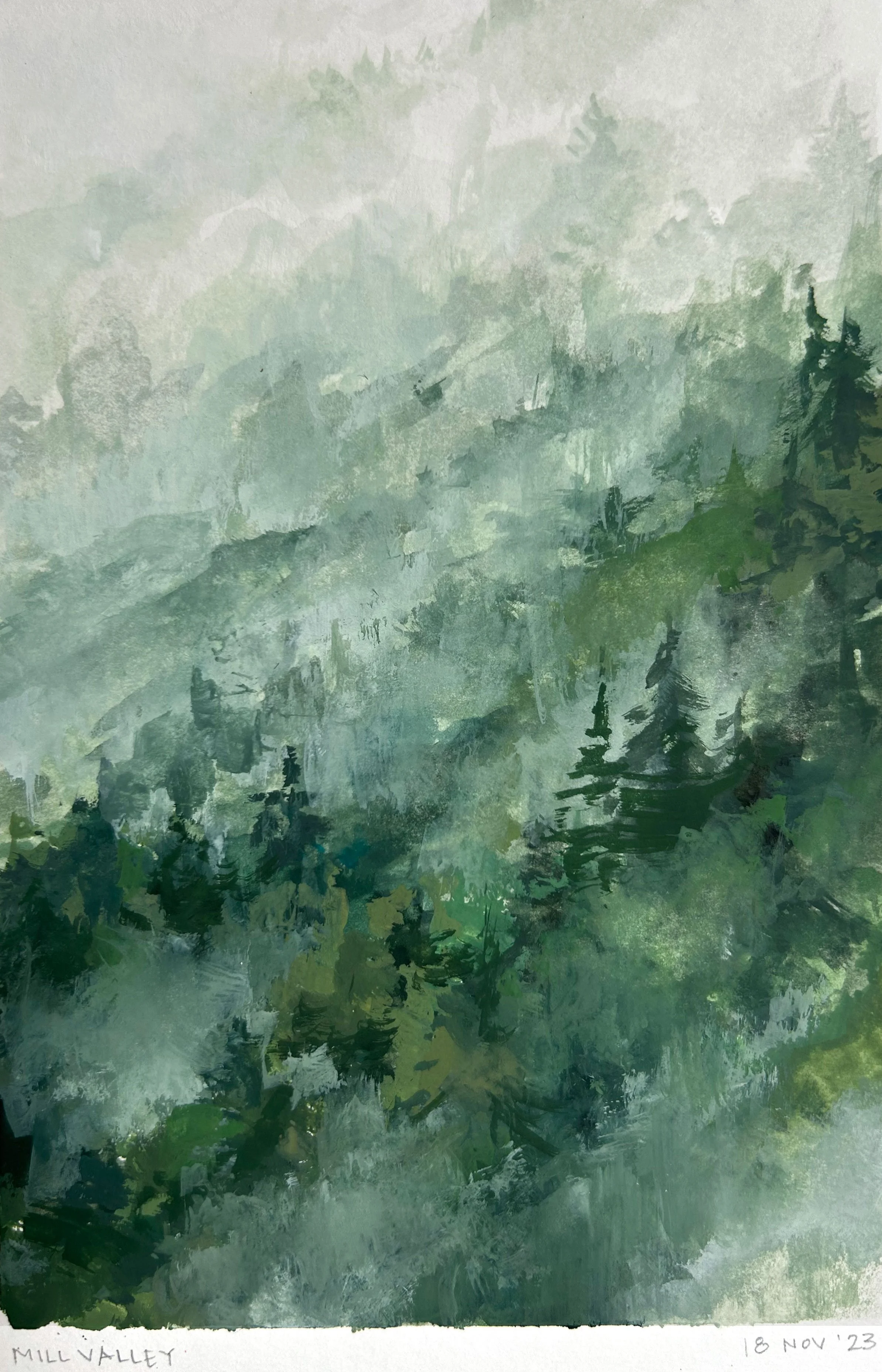 mill_valley_fog.jpg