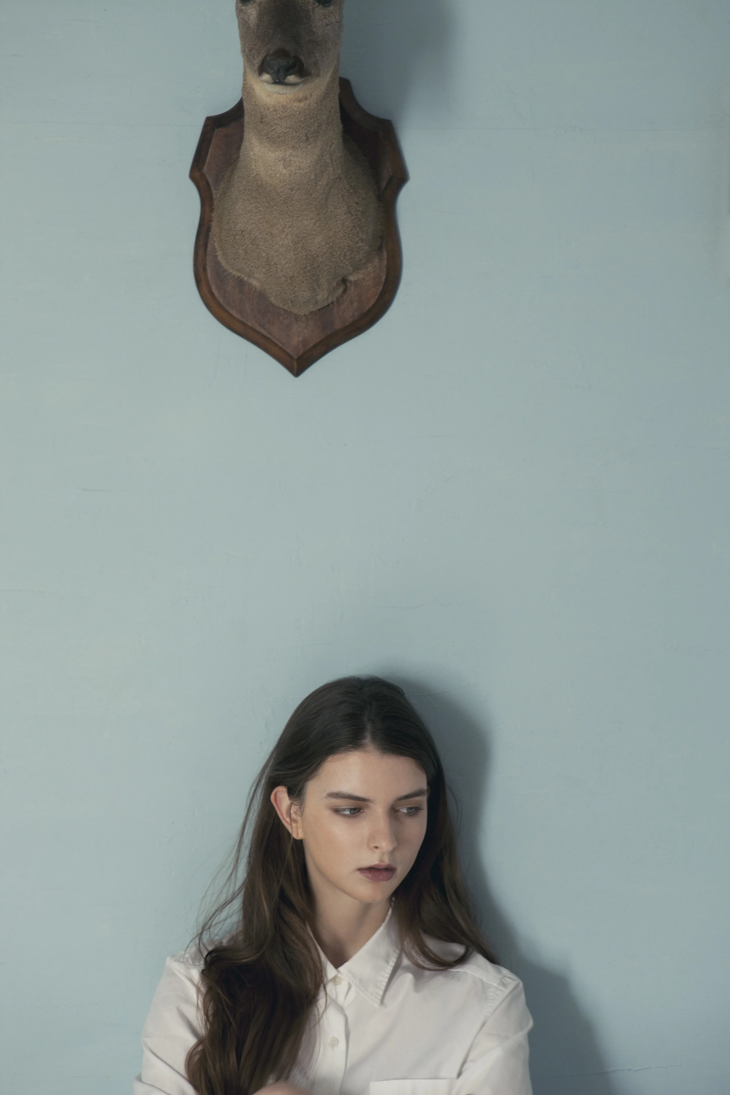 cut-01-0334-f.jpg