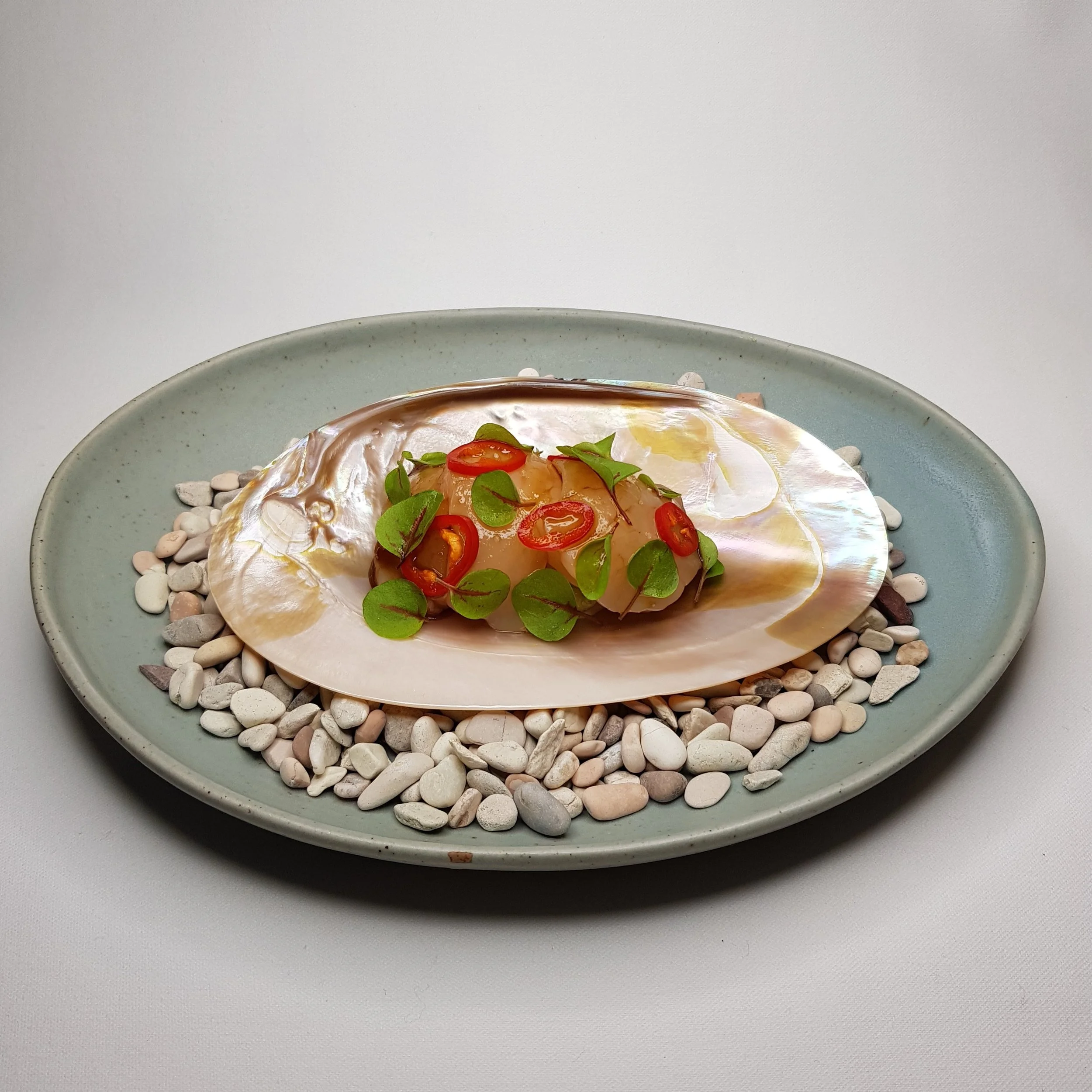 scallop.jpg