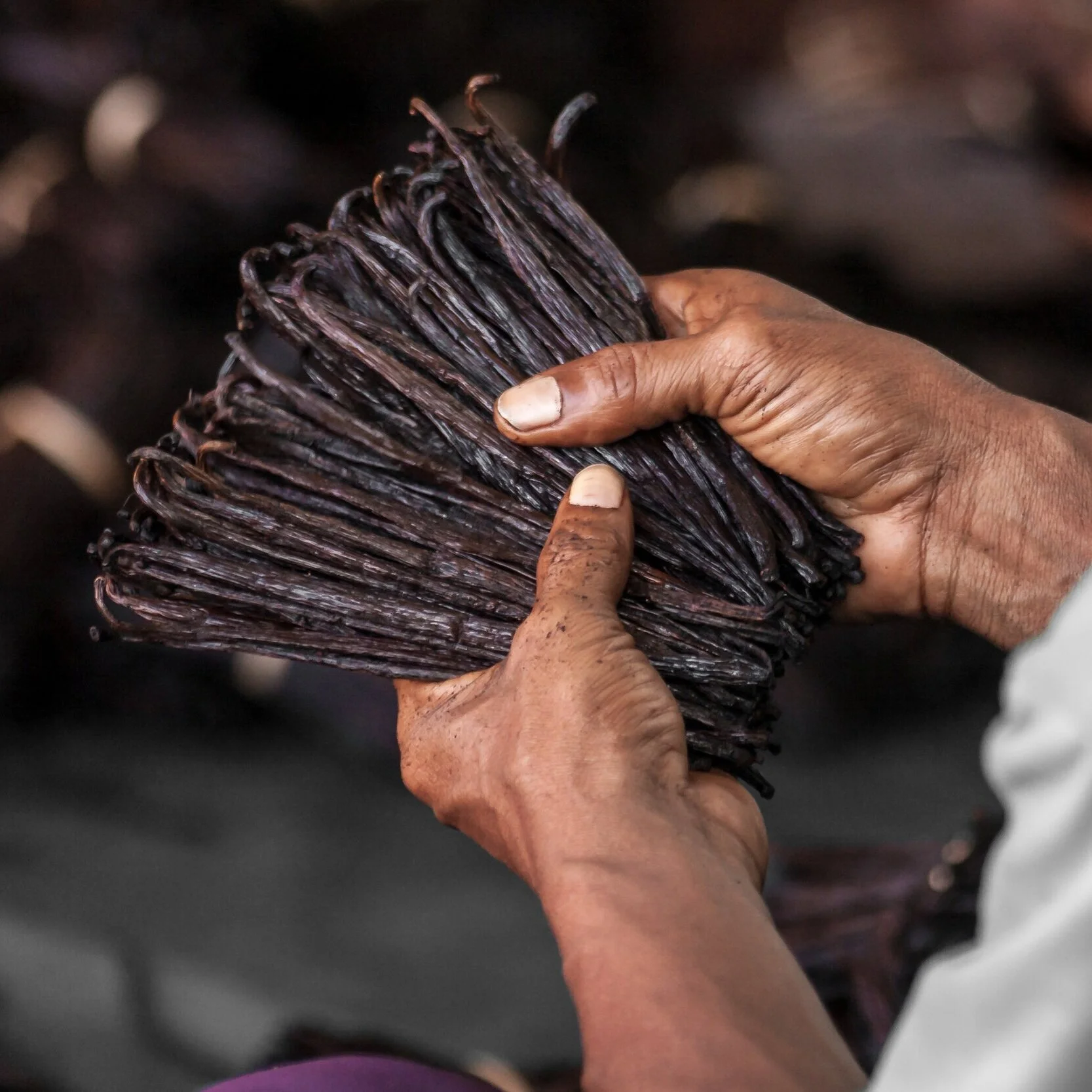 Where does vanilla come from? 