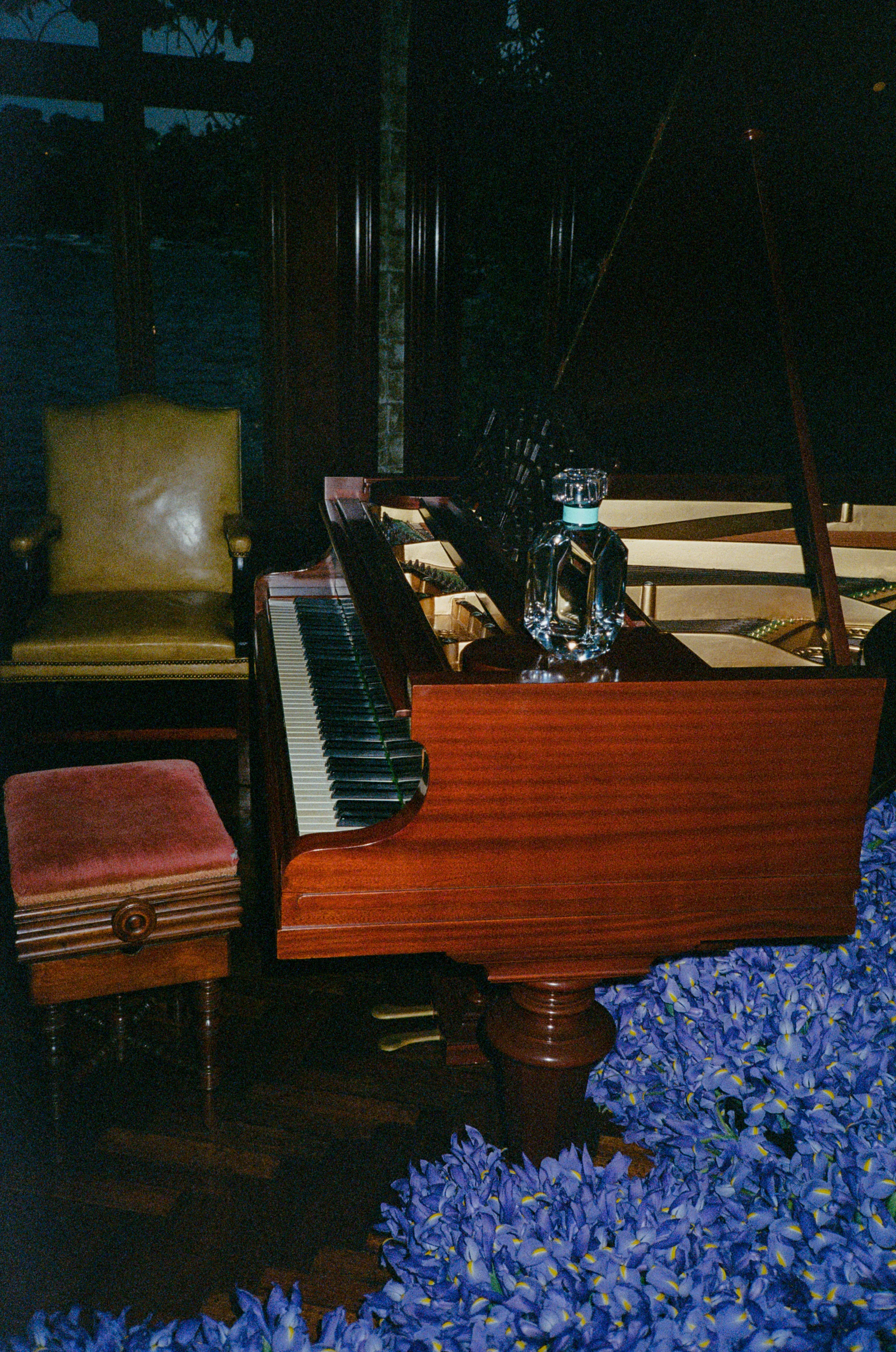 11220024.jpg
