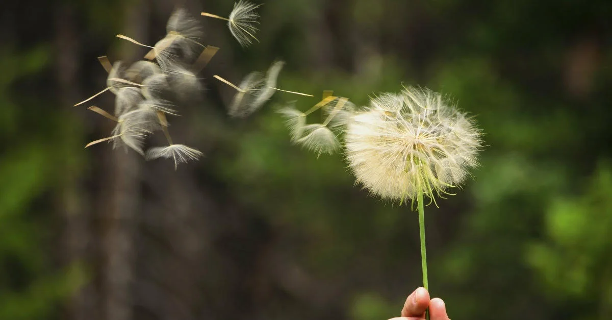 People of His Presence