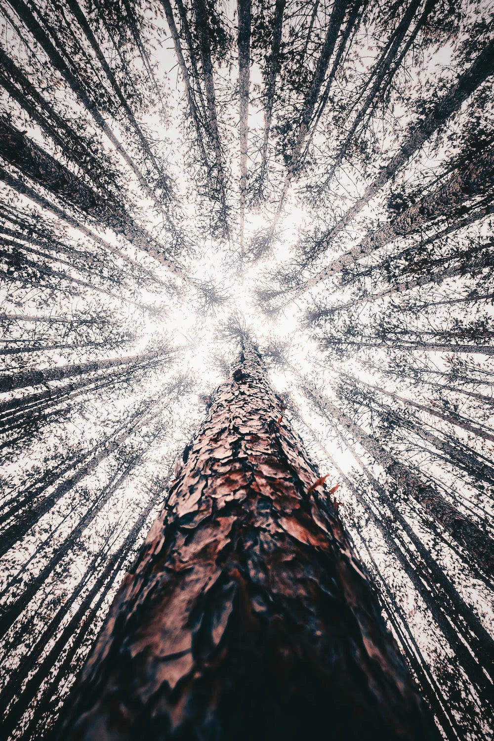 More, Lord Part 2: Discovering What's Really Important