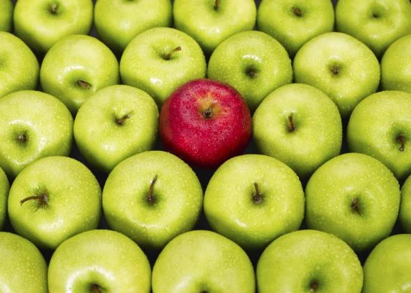 It Takes A Church To Raise A Disciple