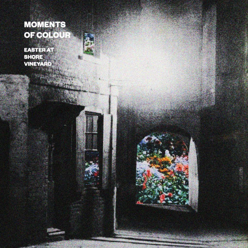 Moments of Colour, Part 4: Rejoice