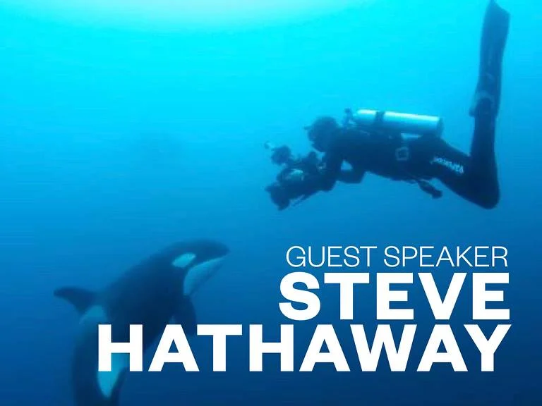 Guest Interview: Steve Hathaway