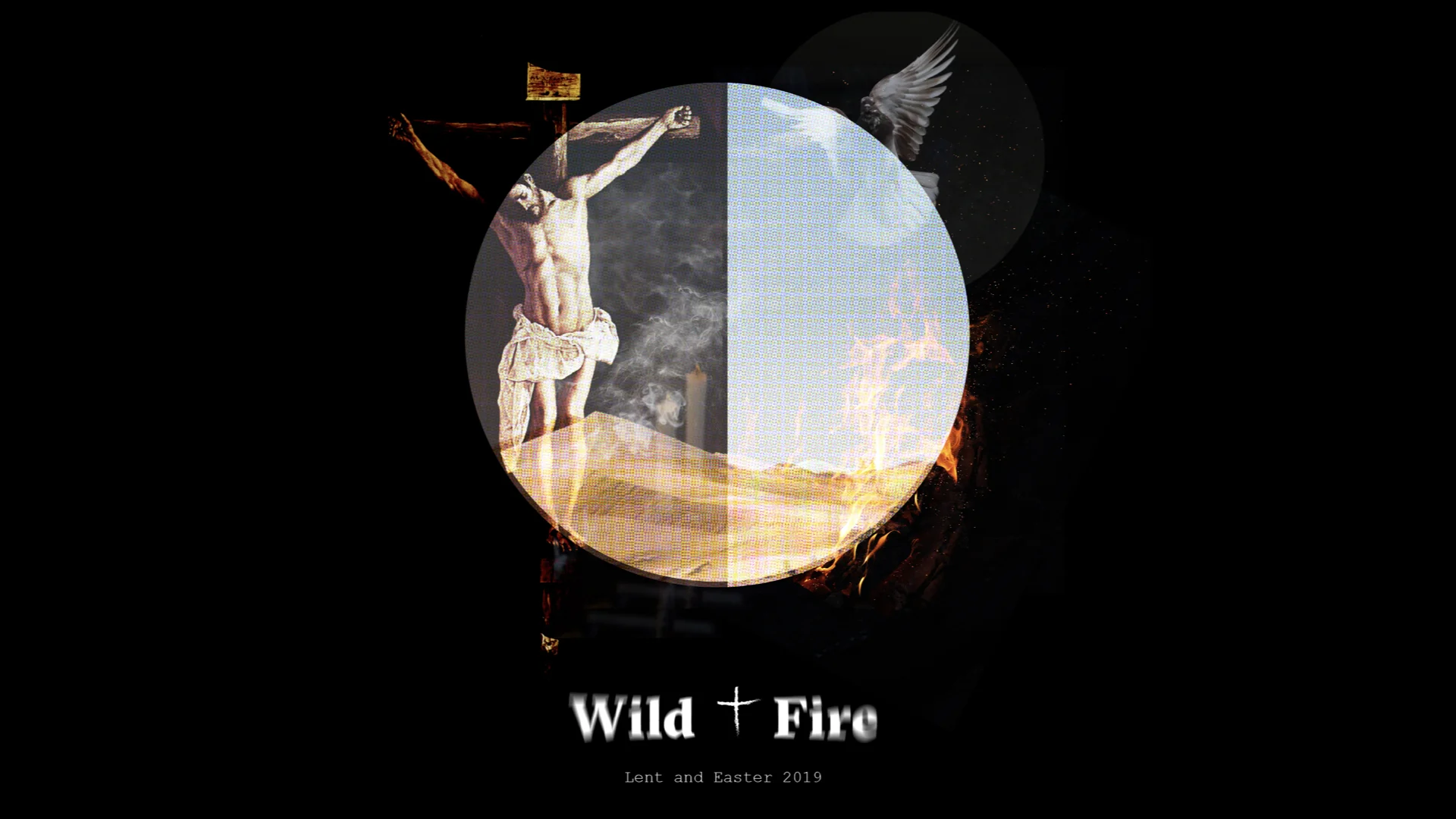 Wild and Fire.010.jpeg