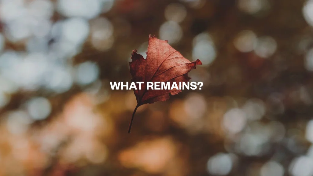 What Remains