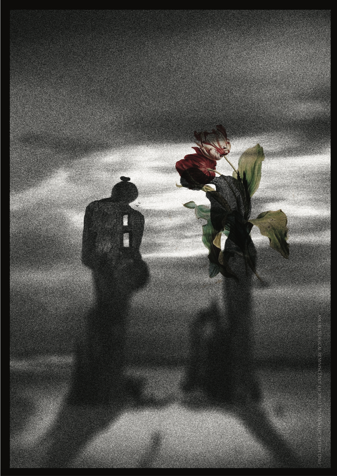 Blessed: Living the Beatitudes