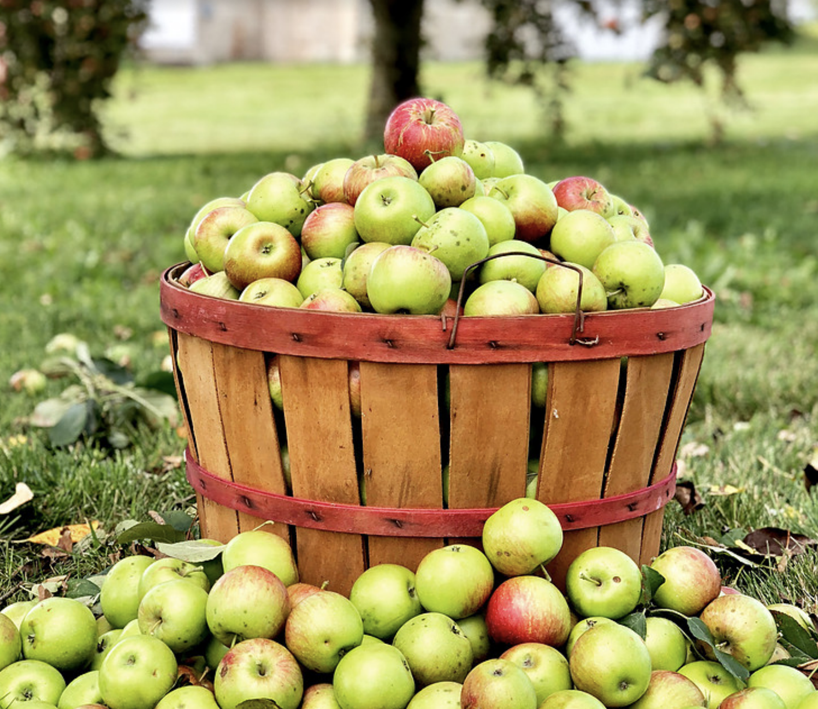 Blessed to be a Blessing