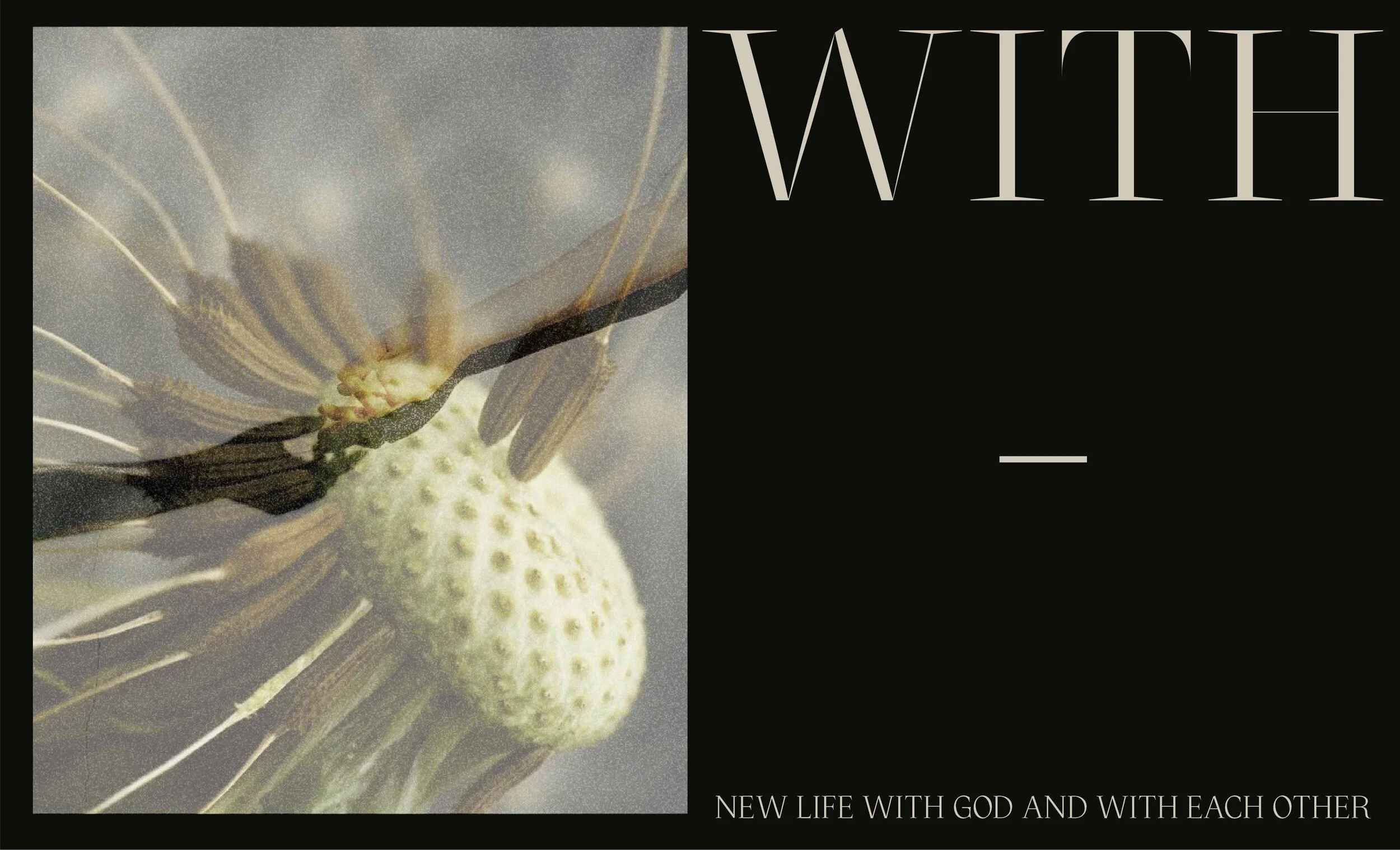 Shore Vineyard Sunday Service