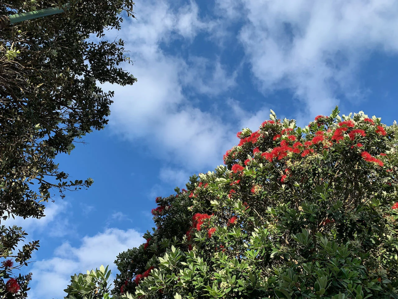 Christmas Eve Services