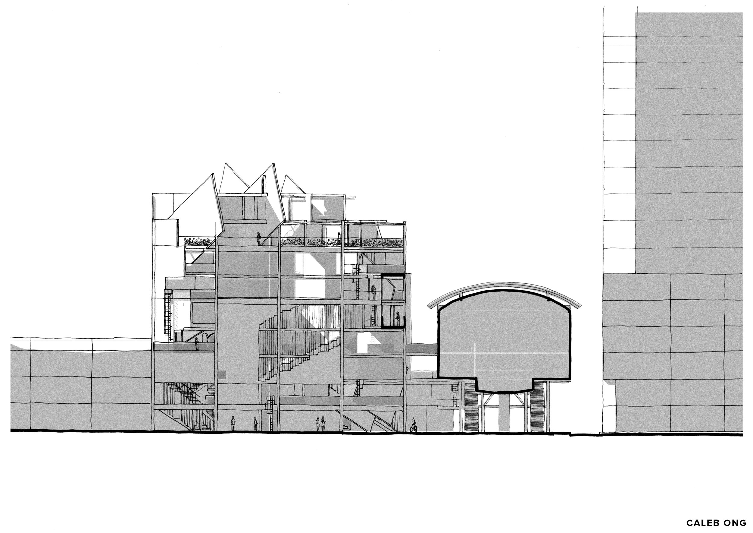 Rear Elevation