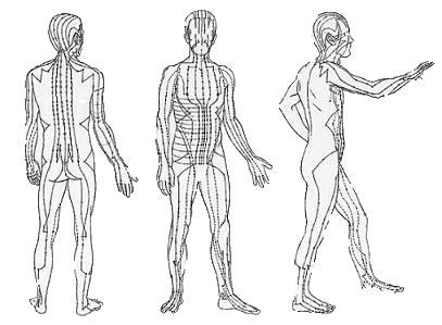 mensfiguur.jpg