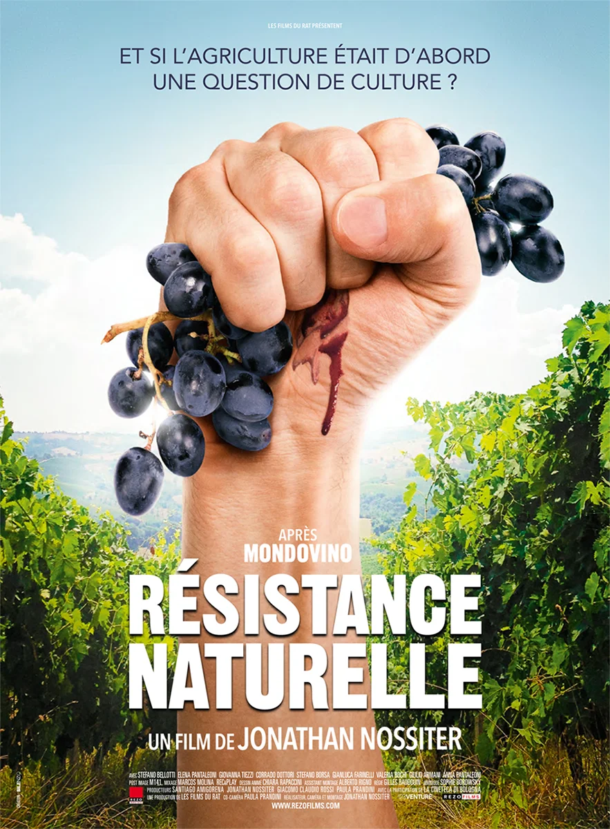 vin-bio-toulouse.jpg