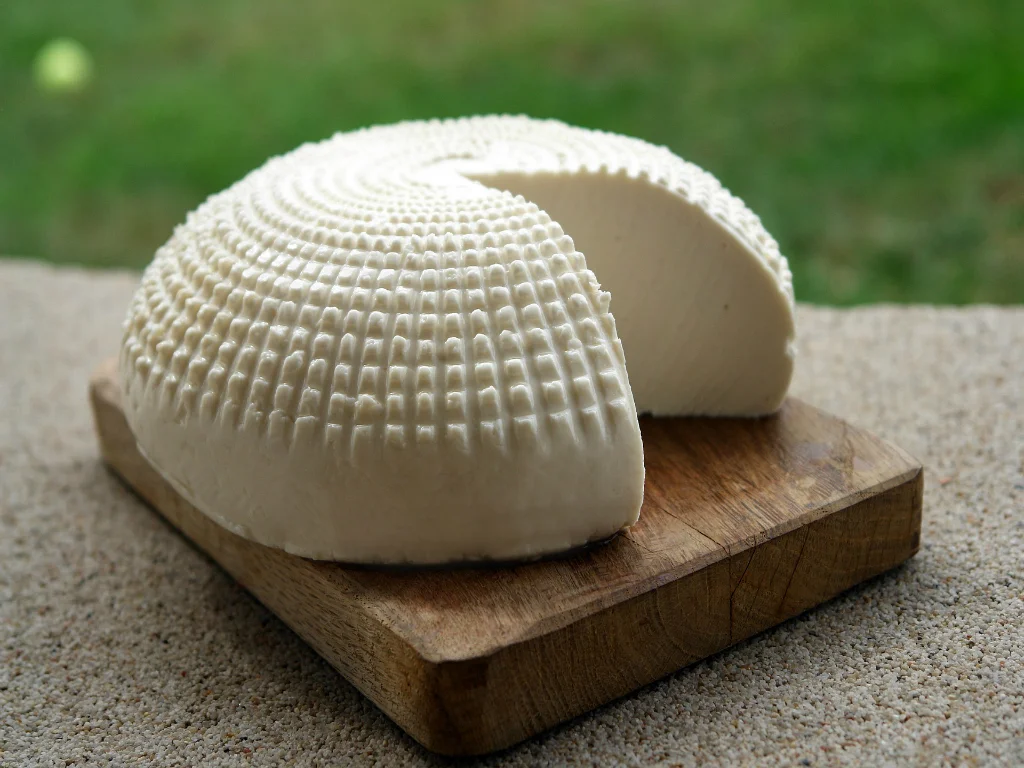 degustation-fromage-et-vin-toulouse2.jpg