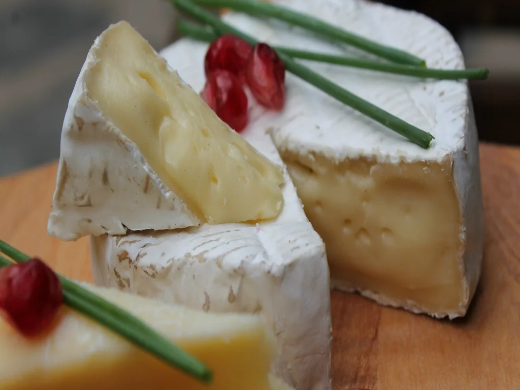 degustation-fromage-et-vin-toulouse1.jpg