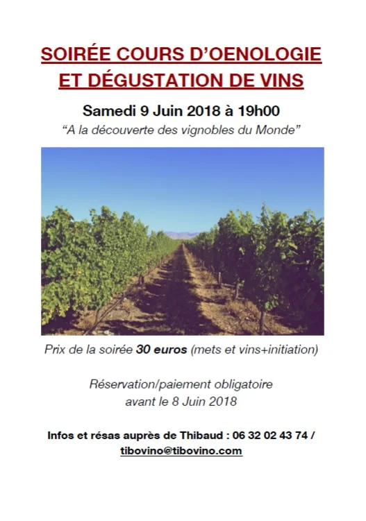 degustation-vin-etranger-toulouse-tibovino.jpg