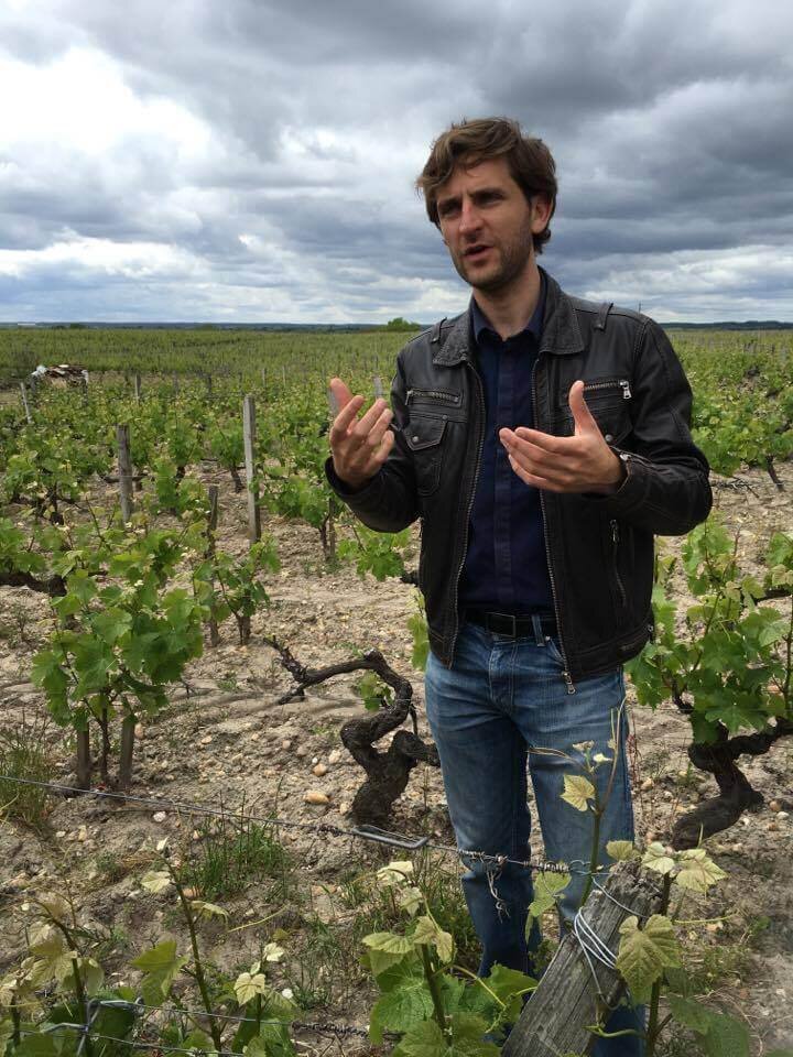 Dans les vignes de Sauternes.jpg